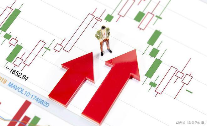 新澳门资料免费长期公开,2025,精选资料解析大全