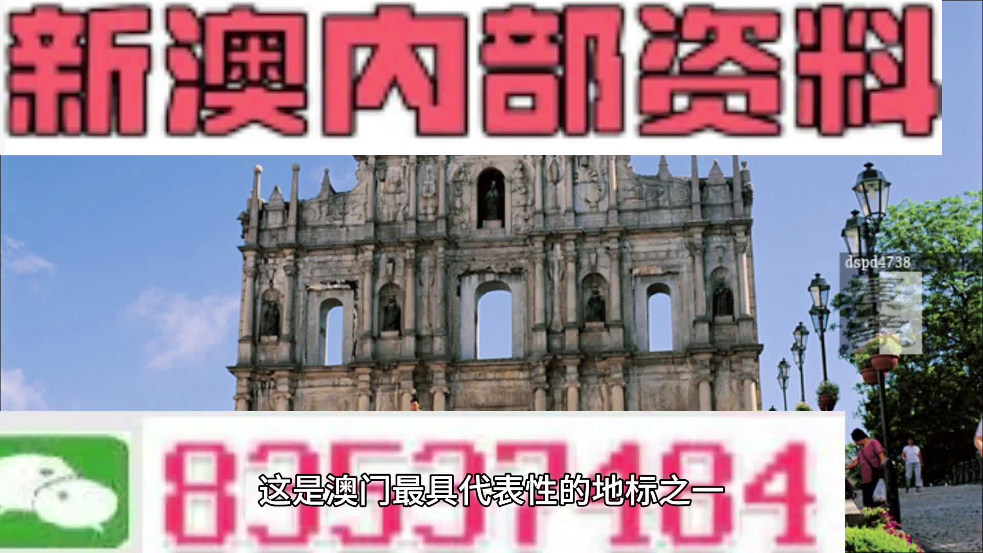 新澳2025最新资料24码,精选资料解析大全