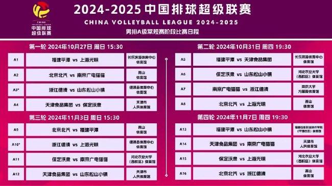 新澳门天天彩2025年全年资料,精选资料解析大全